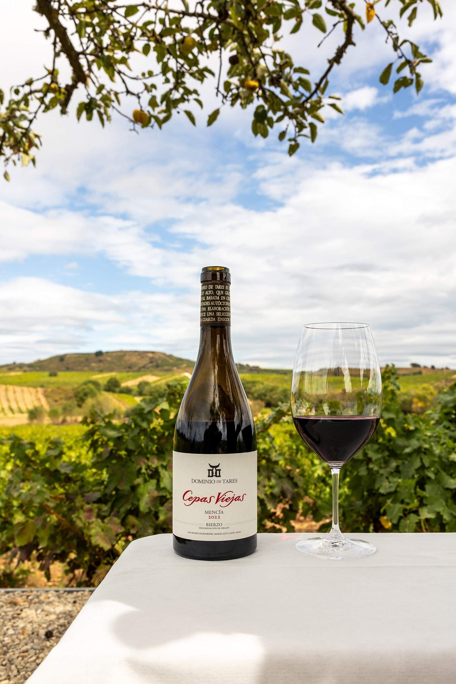 Cepas Viejas 2 Cepas Viejas 2