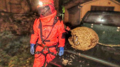 Lucha contra la 'Vespa velutina' en León. archivo Lucha contra la 'Vespa velutina' en León. archivo