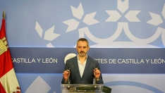 Miriam Chacón / ICAL . El portavoz del Grupo Vox en las Cortes, David Hierro Miriam Chacón / ICAL . El portavoz del Grupo Vox en las Cortes, David Hierro