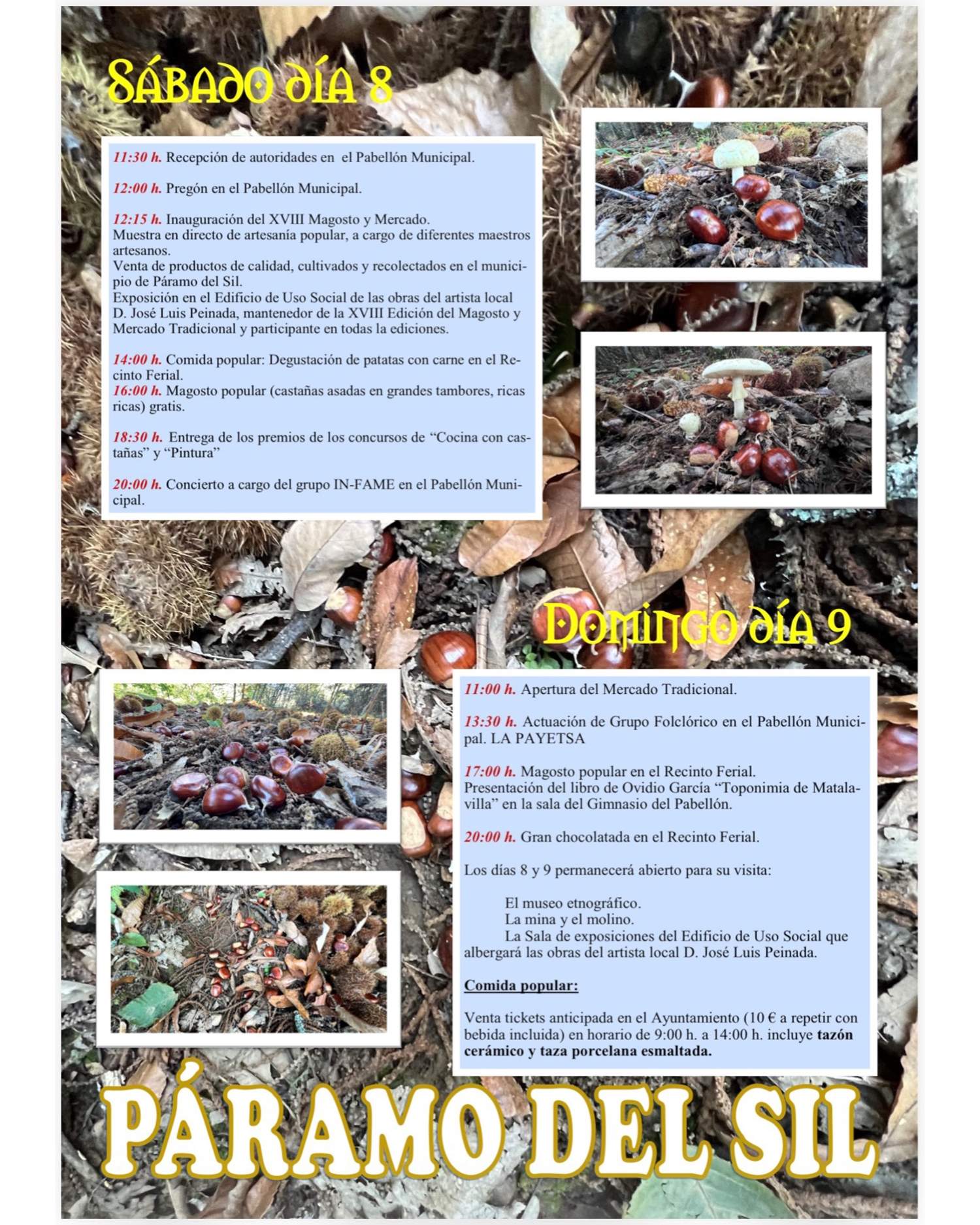 Mercado Tradicional Mercado Tradicional