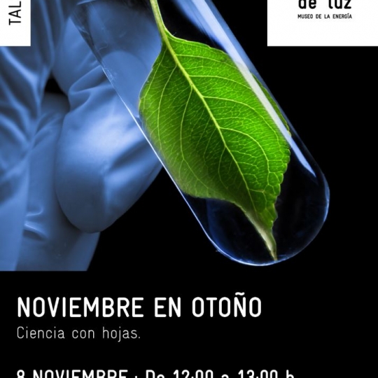 Taller Ciencia con hojas 