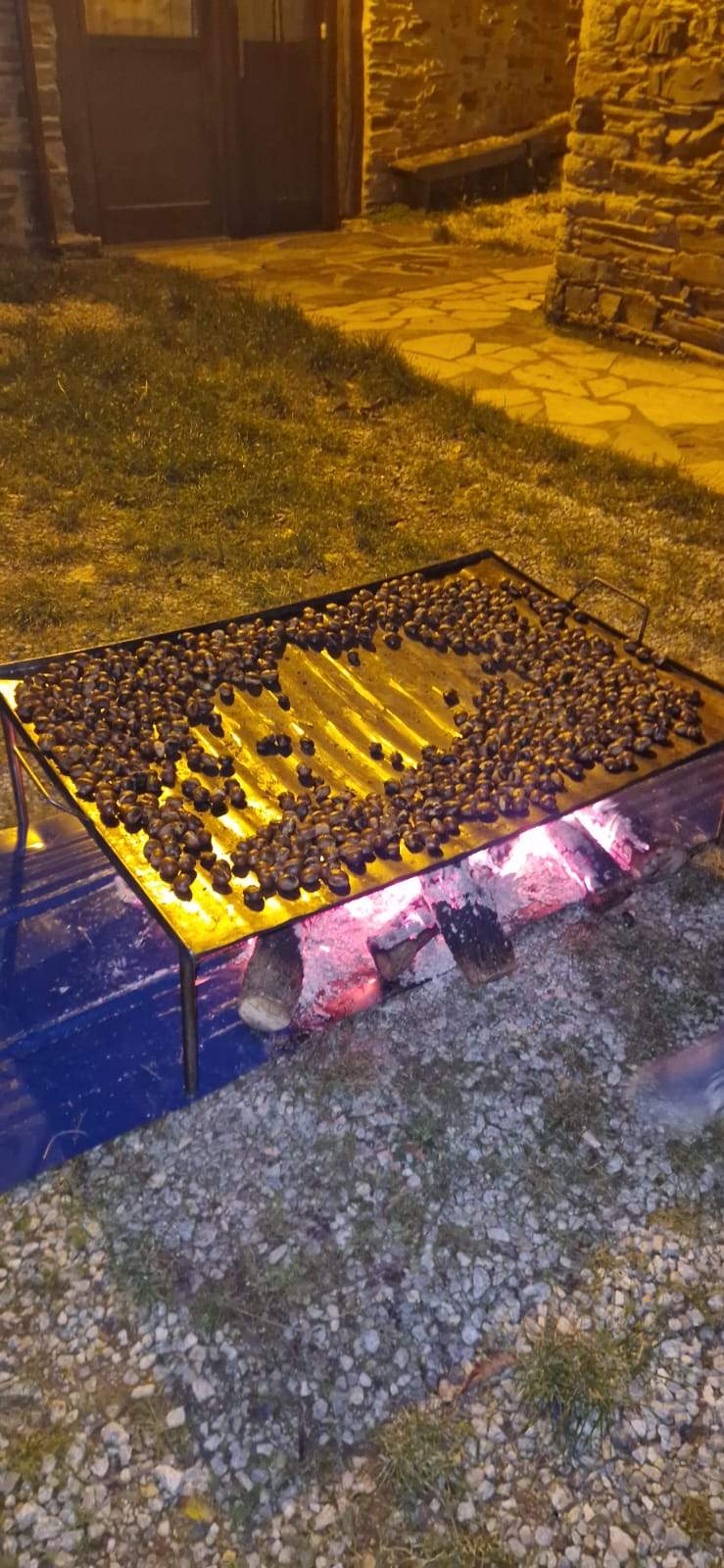 Magosto Espinoso de Compludo Magosto Espinoso de Compludo