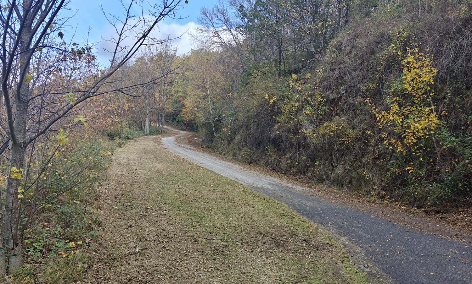 Desbroce carretera Carracedo de Compludo Desbroce carretera Carracedo de Compludo