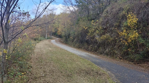 Desbroce carretera Carracedo de Compludo