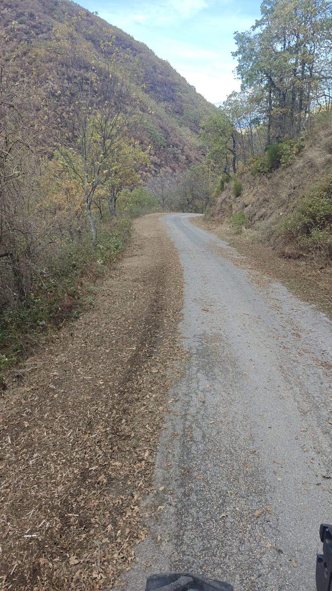 Desbroce carretera Carracedo de Compludo 3 Desbroce carretera Carracedo de Compludo 3