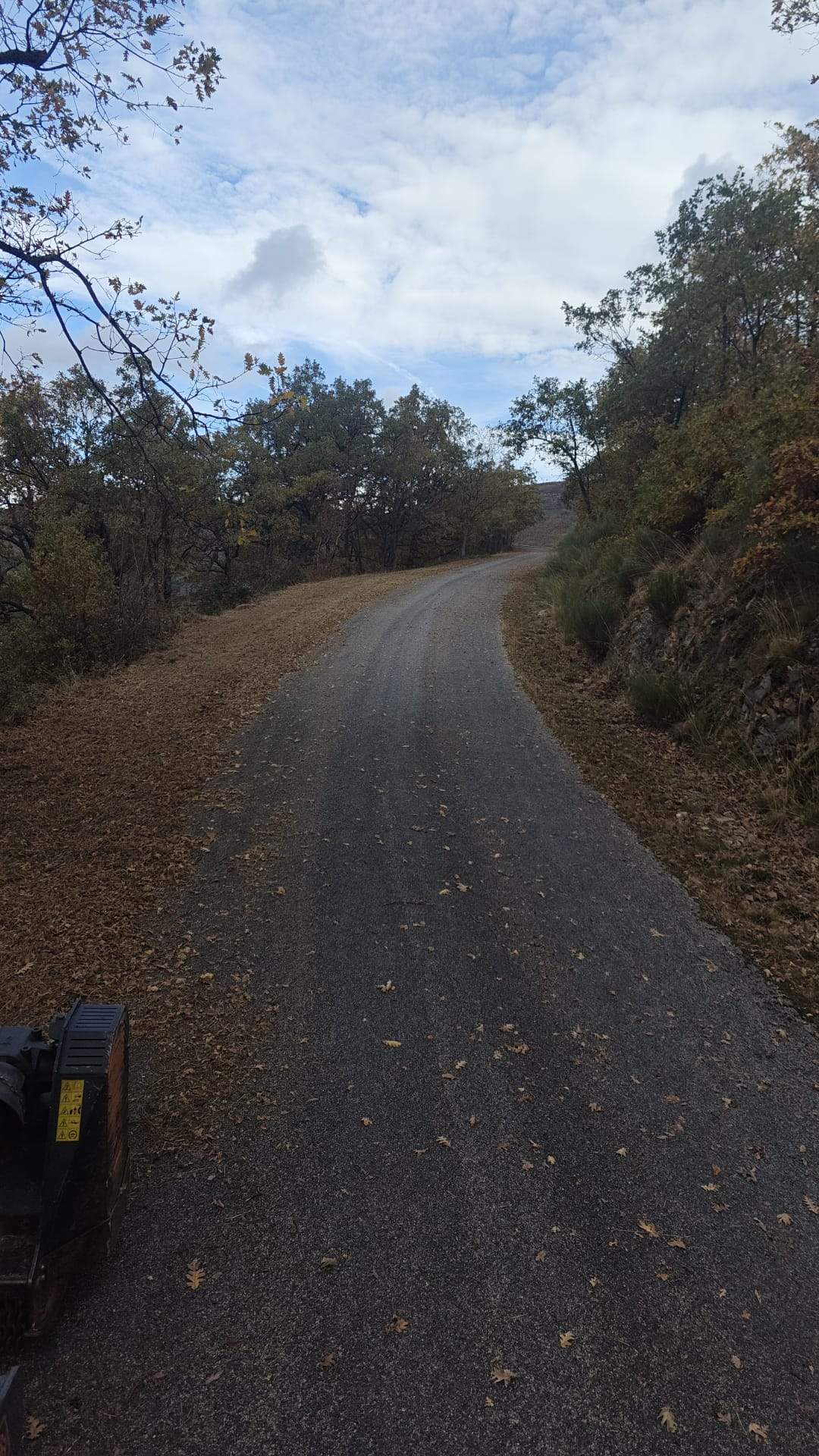 Desbroce carretera Carracedo de Compludo 2 Desbroce carretera Carracedo de Compludo 2