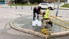 puntos abastecimiento (2) puntos abastecimiento (2)