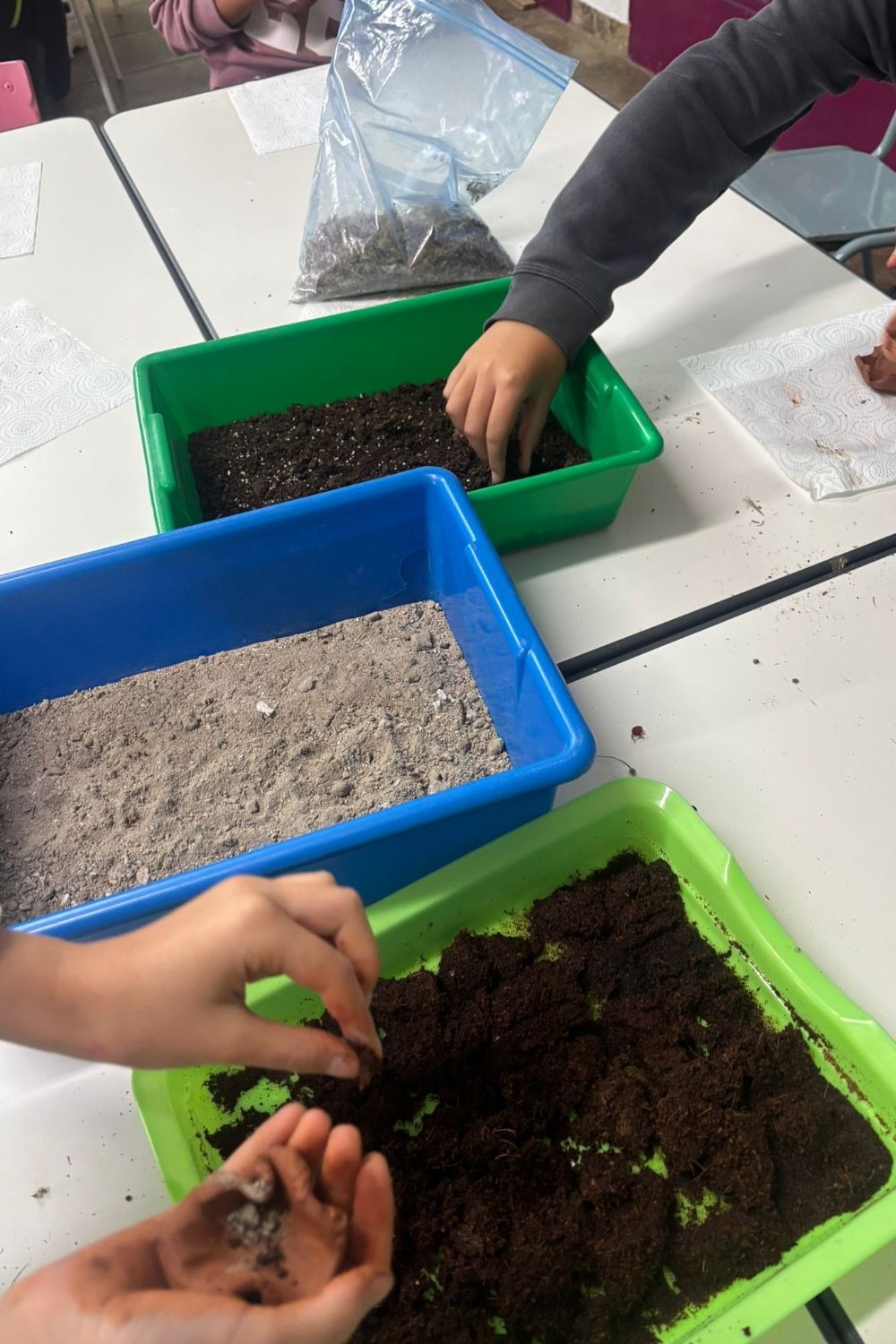 Bombas de semillas del CEIP Emilia Menéndez Bombas de semillas del CEIP Emilia Menéndez