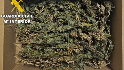 Marihuana de Toral de los Vados