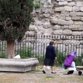 Una señora alimentando a unos gatos