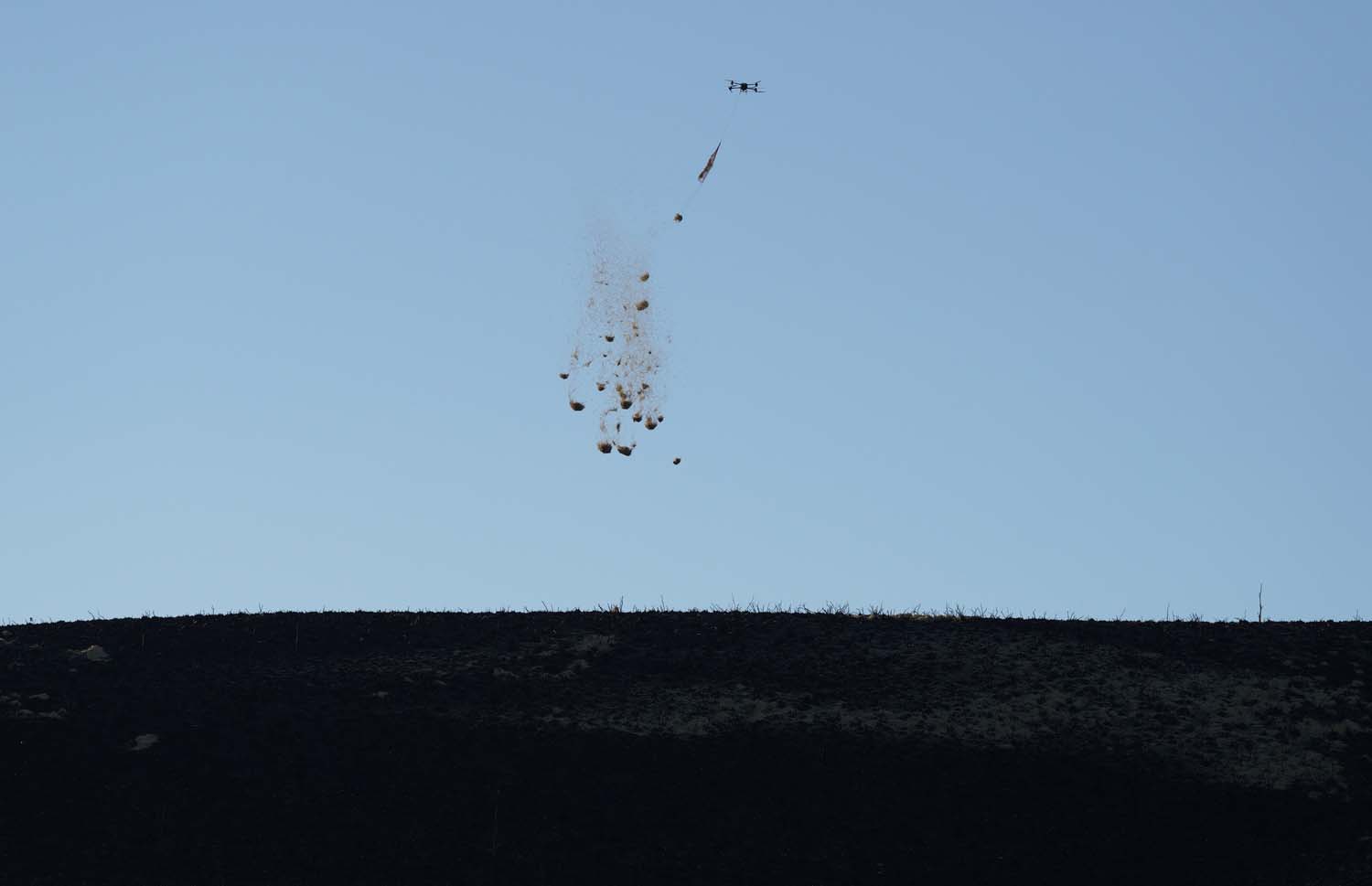 César SánchezICAL Trabajos de esparcimiento de alpacas con dron en la zona de Las Médulas(1)