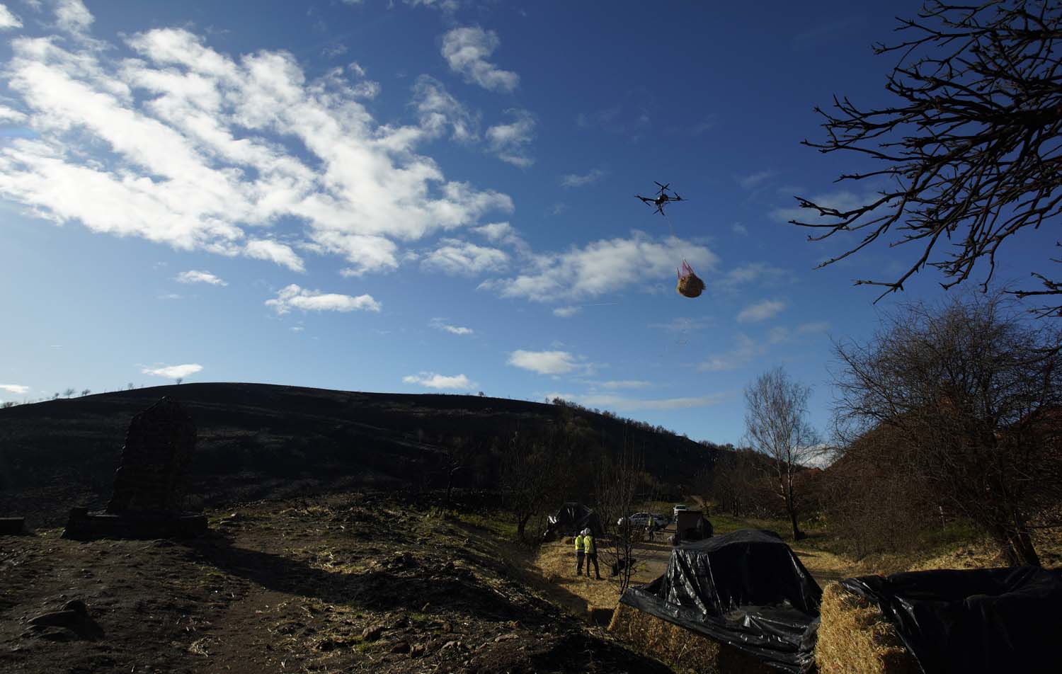 César SánchezICAL Trabajos de esparcimiento de alpacas con dron en la zona de Las Médulas(4)
