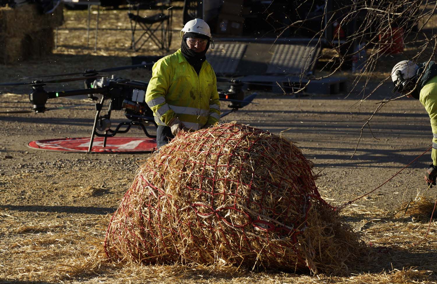 César SánchezICAL Trabajos de esparcimiento de alpacas con dron en la zona de Las Médulas(6)
