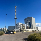 Forestalia en Cubillos del Sil 