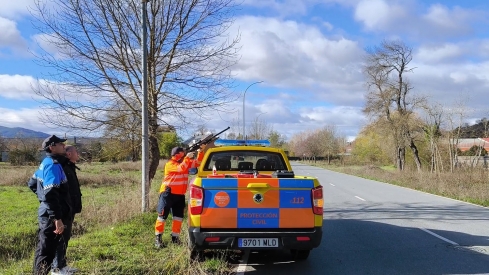 Bembibre compra una carabina de precisión para controlar los nidos de avispa asiática