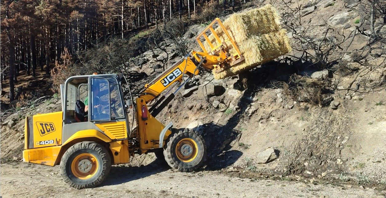 JCyLICAL . Actuaciones de la Junta dentro del plan de restauración tras los grandes incendios forestales (1) JCyLICAL . Actuaciones de la Junta dentro del plan de restauración tras los grandes incendios forestales (1)