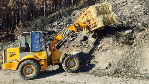 JCyL  ICAL . Actuaciones de la Junta dentro del plan de restauración tras los grandes incendios forestales (1)