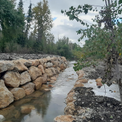 La CHMS refuerza el regato Piquelo en Carracedelo para frenar los desbordamientos del Cúa
