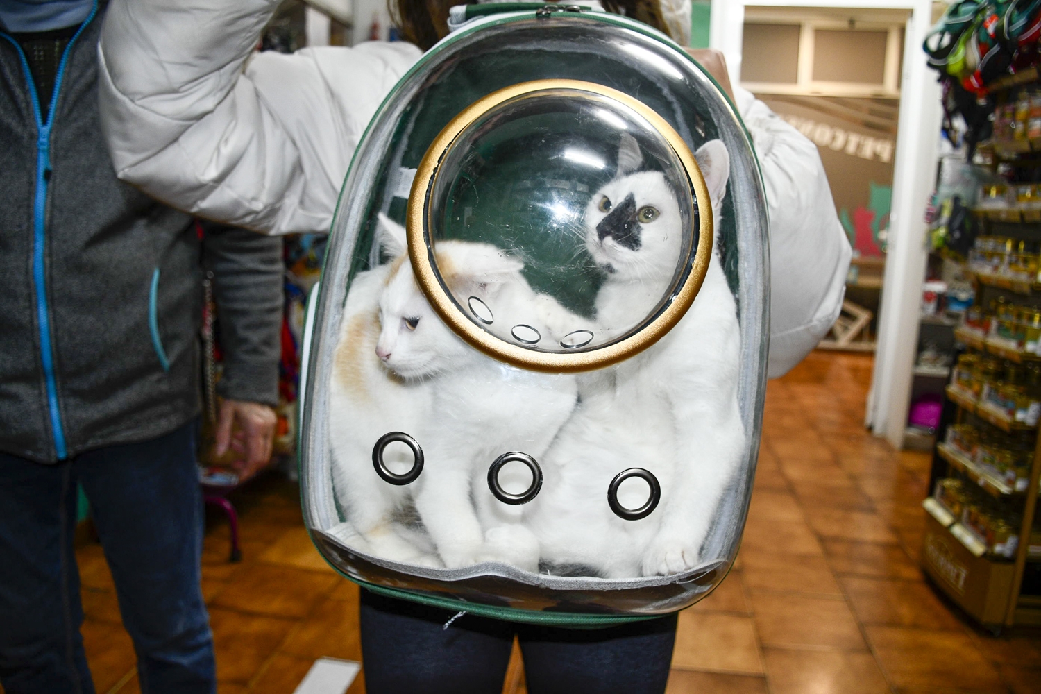 Clínica Veterinaria Petconsult (2)