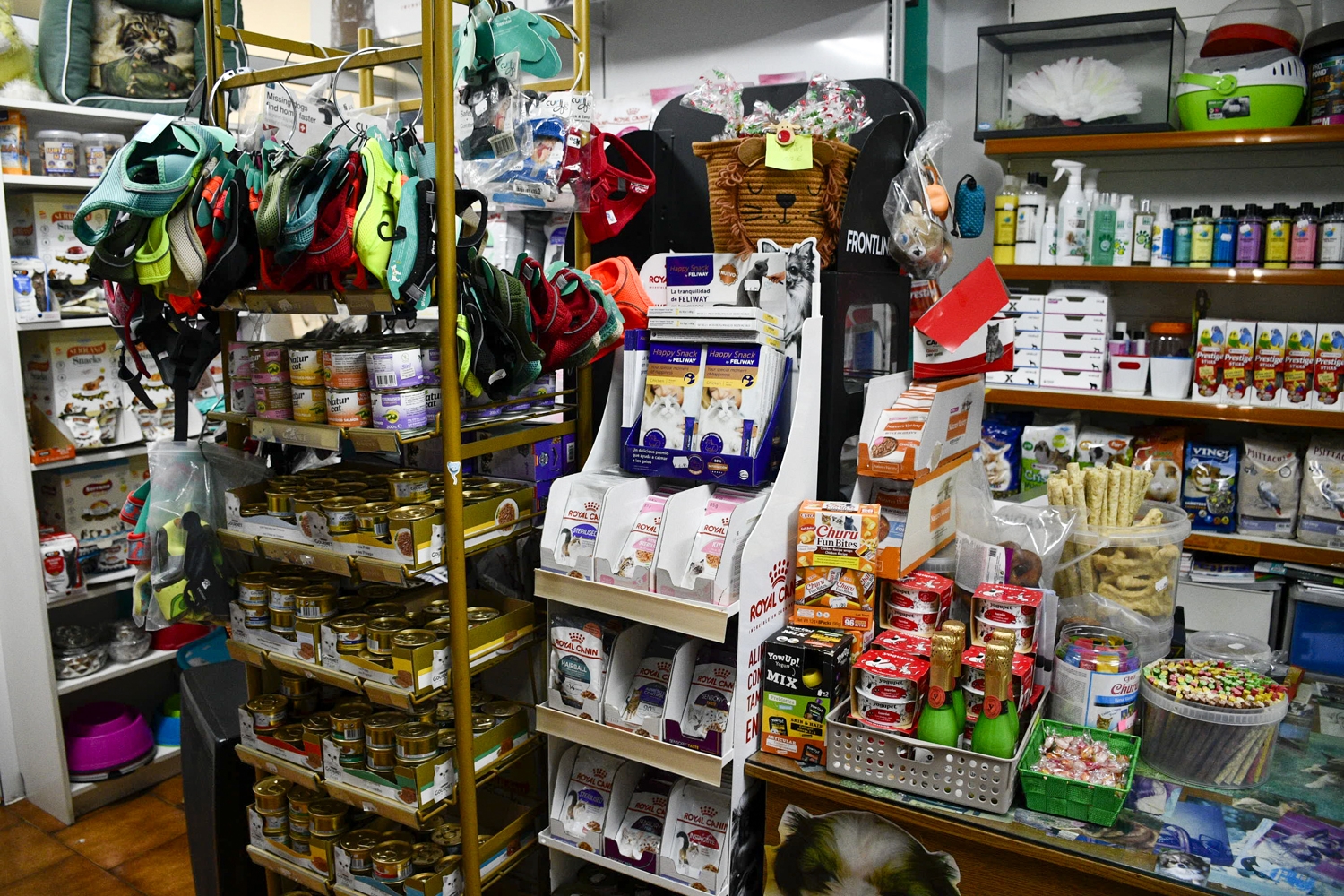 Clínica Veterinaria Petconsult (4)