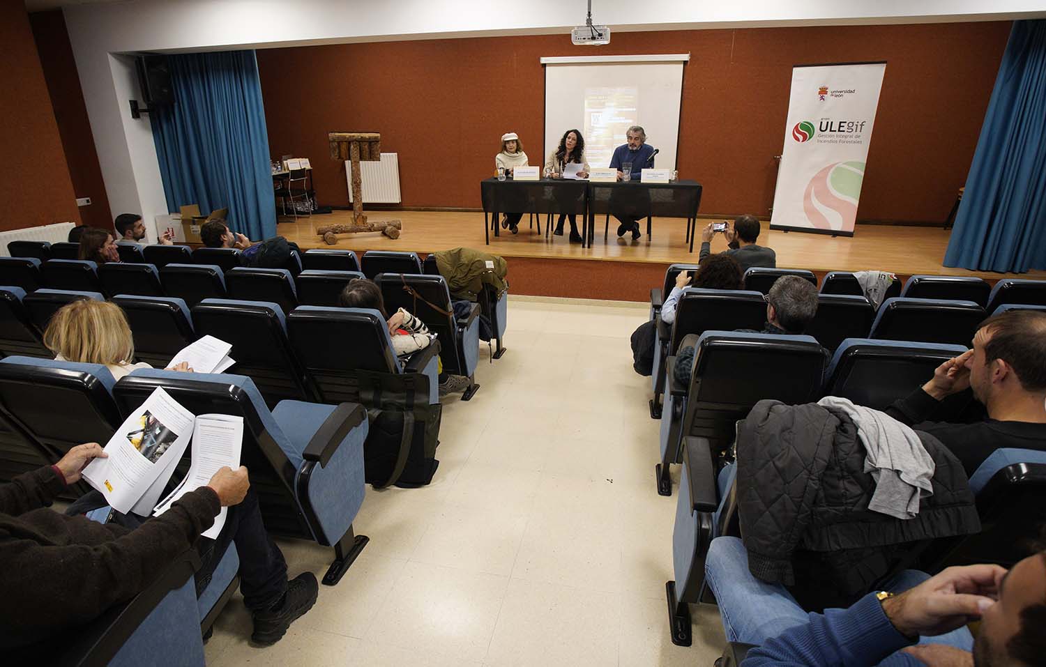 Fundacion oso pardo paramo del sil