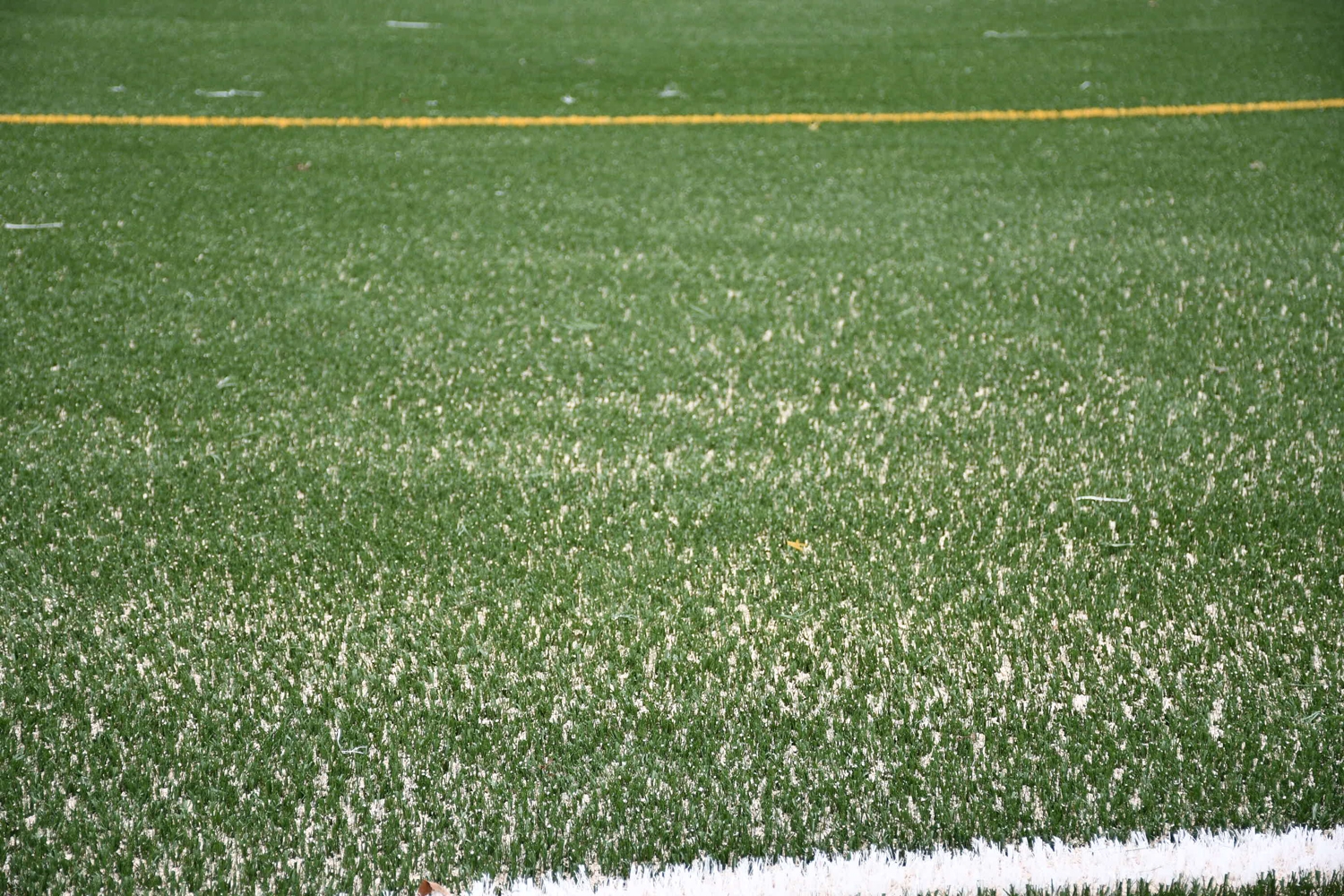 Nuevo césped en el campo Manolo Peña (4) Nuevo césped en el campo Manolo Peña (4)