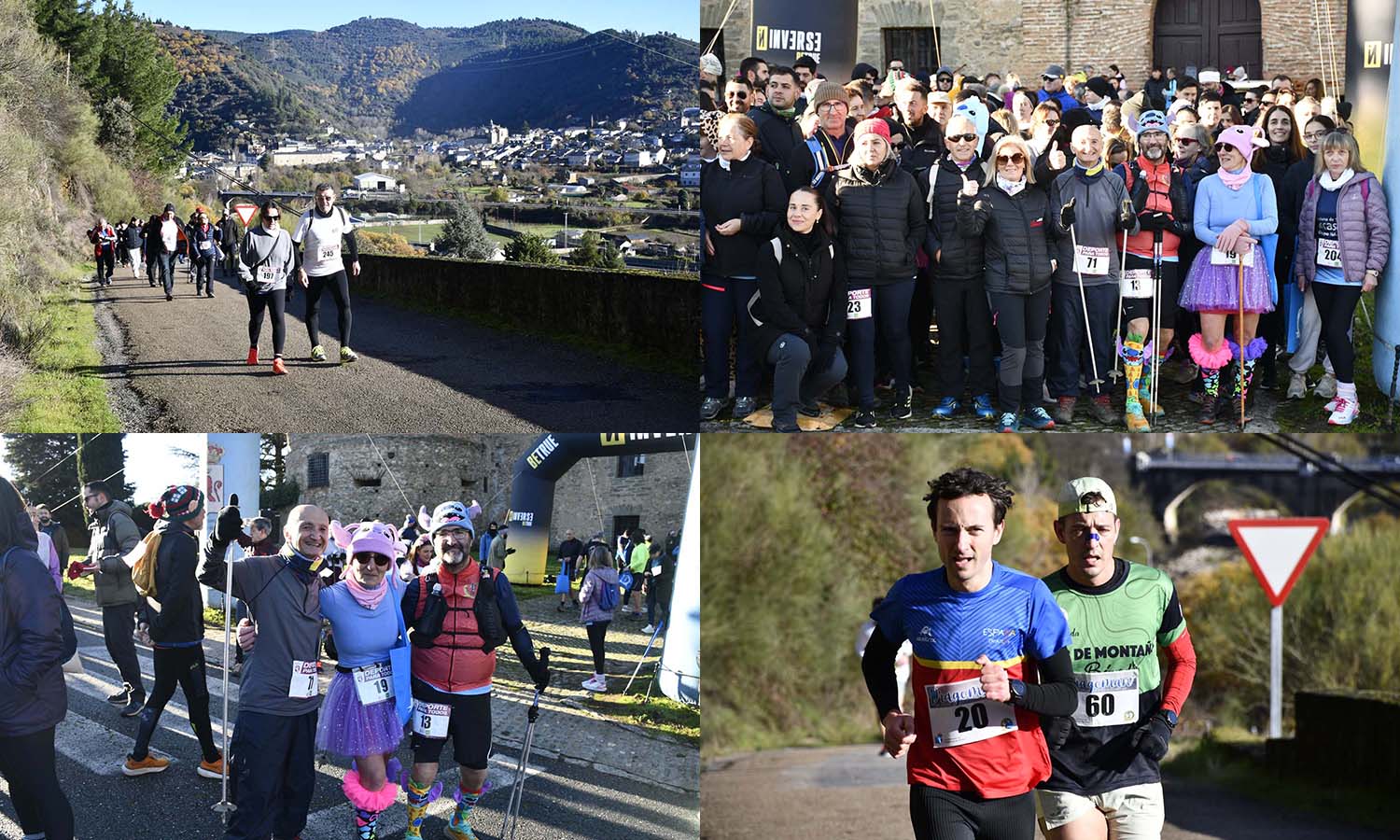 Collage Dragoman 2025 