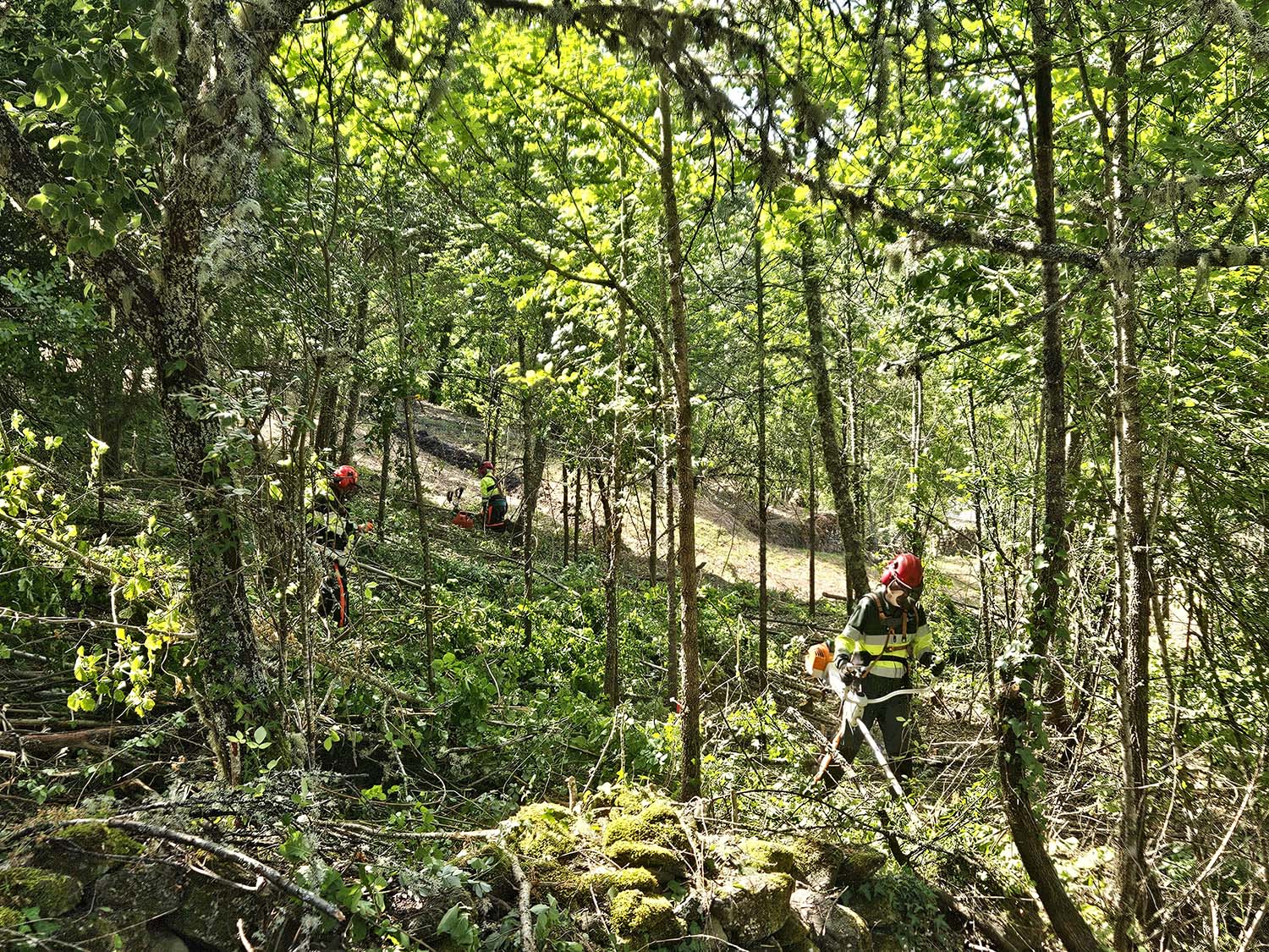 Plan Montel en una imagen de archivo