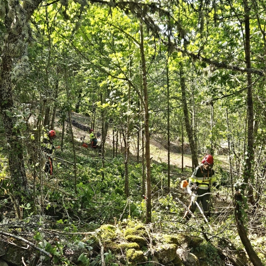 Plan Montel en una imagen de archivo