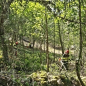 Plan Montel en una imagen de archivo Plan Montel en una imagen de archivo