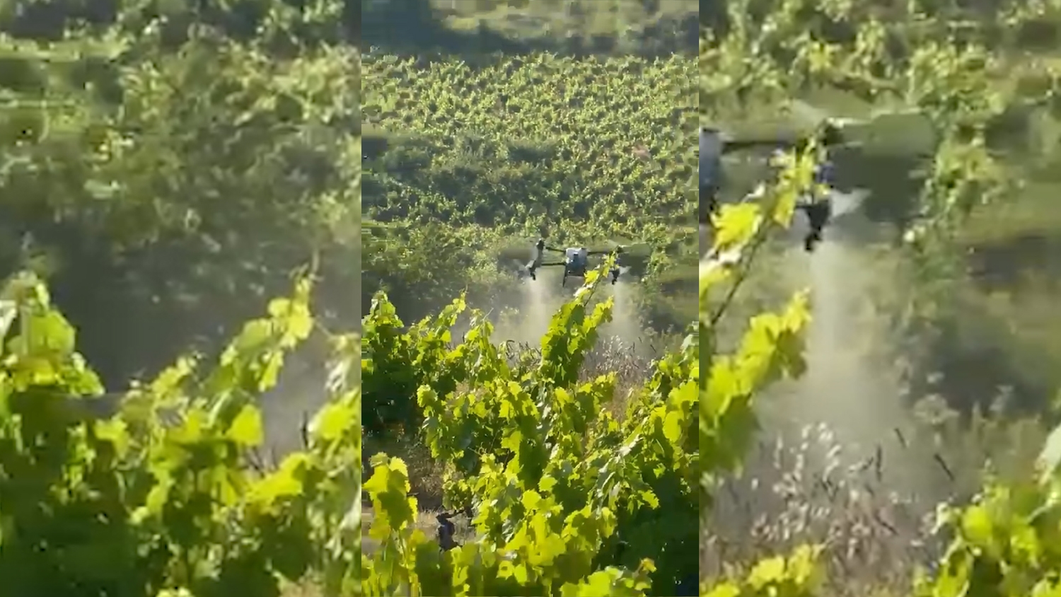 Drones de Servibi (1) Drones de Servibi (1)