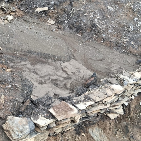 La CHMS intensifica sus trabajos tras los incendios del Bierzo