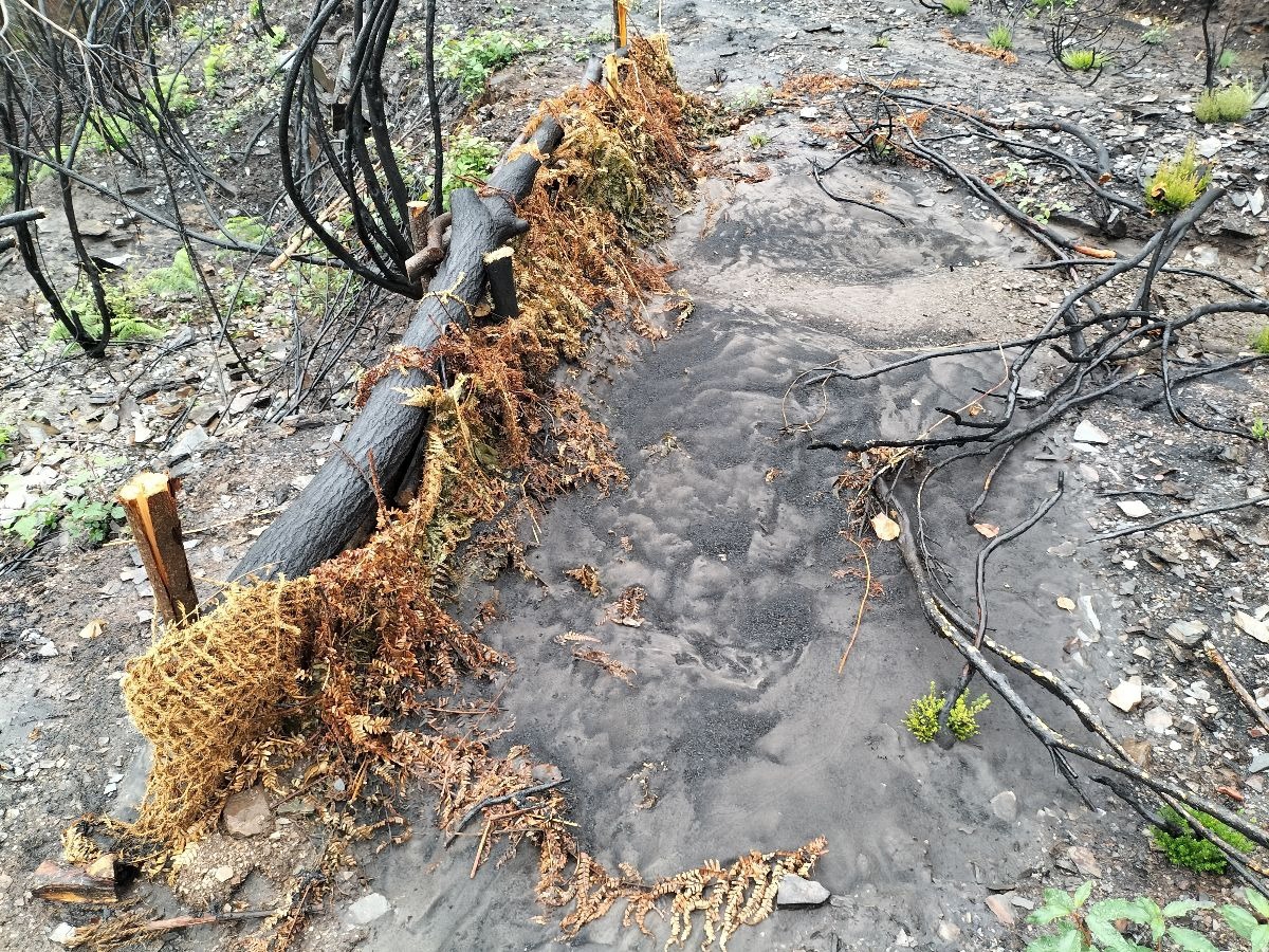 Trabajos de CHMS tras los incendios 3