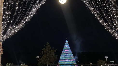 Encendido de las luces de Navidad del Palacio de Canedo (2)