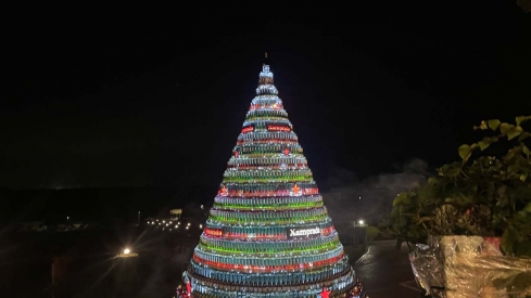 Encendido de las luces de Navidad del Palacio de Canedo (3)