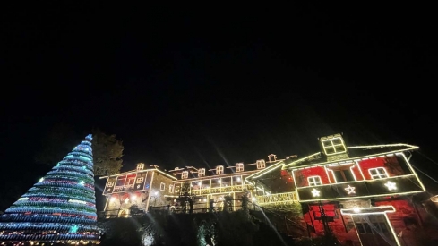 Encendido de las luces de Navidad del Palacio de Canedo (4)