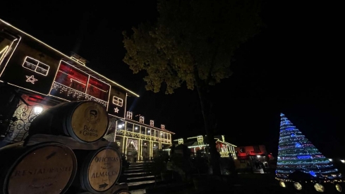 Encendido de las luces de Navidad del Palacio de Canedo (8)