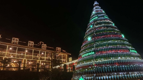 Encendido de las luces de Navidad del Palacio de Canedo (6)