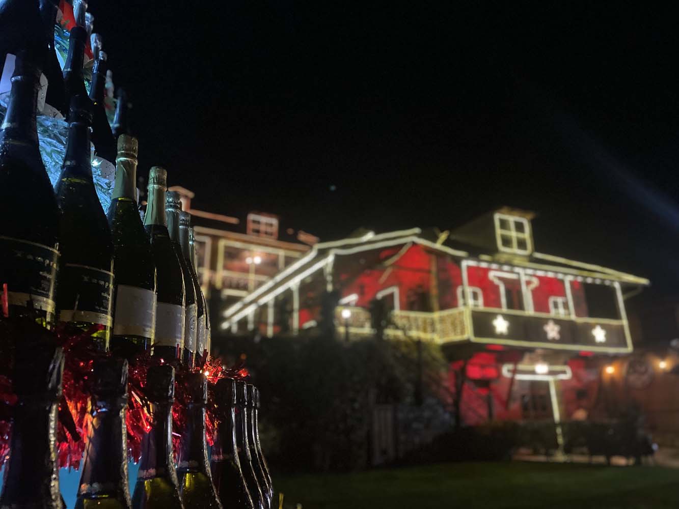 Encendido de las luces de Navidad del Palacio de Canedo (5) Encendido de las luces de Navidad del Palacio de Canedo (5)