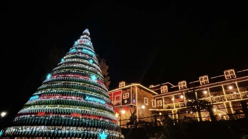 Encendido de las luces de Navidad del Palacio de Canedo (9)
