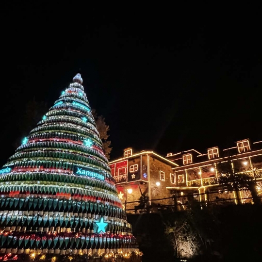 Encendido de las luces de Navidad del Palacio de Canedo (9)