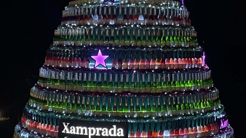 Encendido de las luces de Navidad del Palacio de Canedo (11)