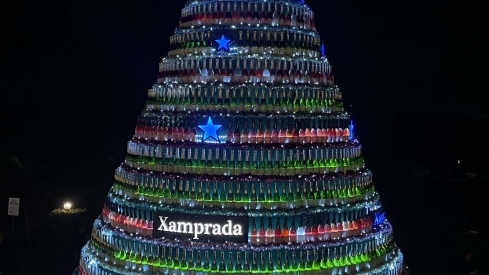 Encendido de las luces de Navidad del Palacio de Canedo (1) Encendido de las luces de Navidad del Palacio de Canedo (1)