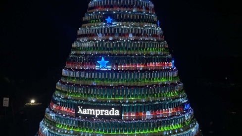 Encendido de las luces de Navidad del Palacio de Canedo (26)