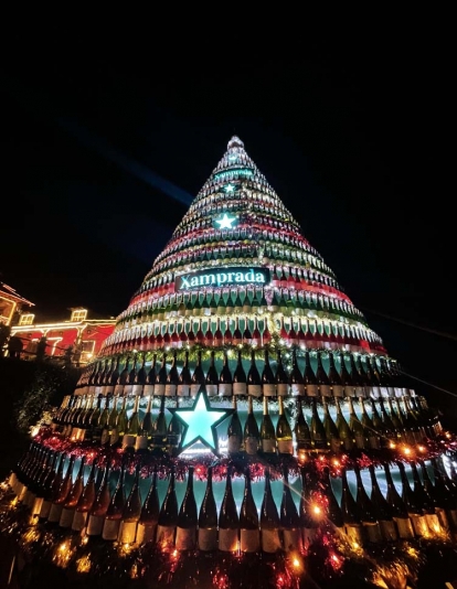 Encendido de las luces de Navidad del Palacio de Canedo (15) Encendido de las luces de Navidad del Palacio de Canedo (15)