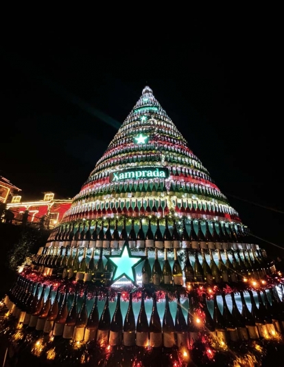 Encendido de las luces de Navidad del Palacio de Canedo (12) Encendido de las luces de Navidad del Palacio de Canedo (12)