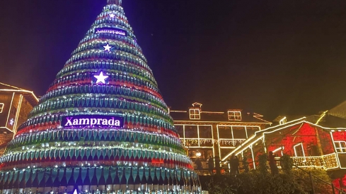 Encendido de las luces de Navidad del Palacio de Canedo (14) Encendido de las luces de Navidad del Palacio de Canedo (14)