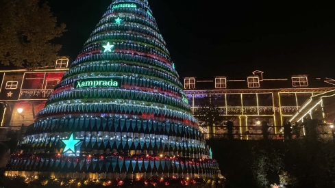 Encendido de las luces de Navidad del Palacio de Canedo (13)