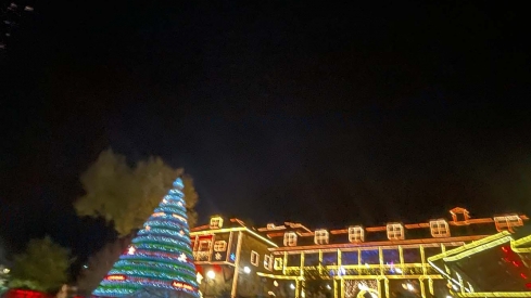 Encendido de las luces de Navidad del Palacio de Canedo (16) Encendido de las luces de Navidad del Palacio de Canedo (16)