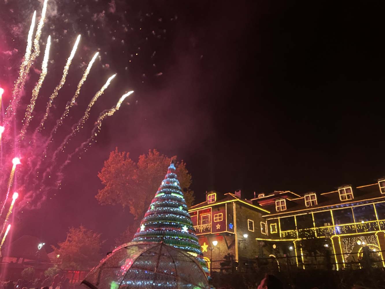 Encendido de las luces de Navidad del Palacio de Canedo (19)